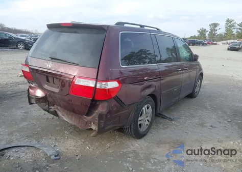 2007 Honda Odyssey Ex из США, поврежденный, VIN 5FNRL38487B042452